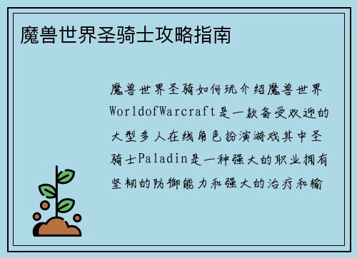 魔兽世界圣骑士攻略指南
